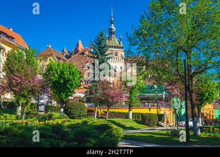 Beautiful ornamental city park with colorful tulips and spring flowery trees in medieval city center, Sighisoara, Transylvania, Romania, Europe Stock Photo