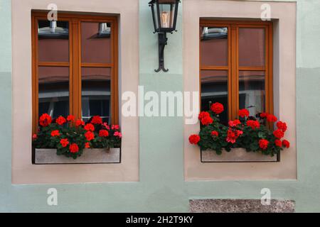Windows with beautiful flowers on the windowsill. Stock Photo