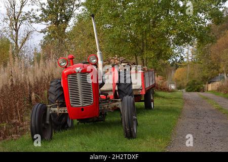 An old red Massey Ferguson tractor parked by a track at Rosehall, Scottish Highlands, Great Britain. Stock Photo