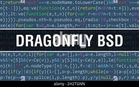 BSD concept with Random Parts of Program Code. BSD with Programming ...
