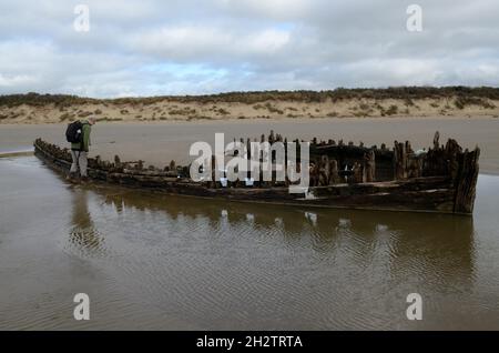 Man looking at the remains of a shipwreck wooden boat on Cefn Sida beach Pembrey Country Park  Llanelli Carmarthenshire Wales Cymru UK Stock Photo