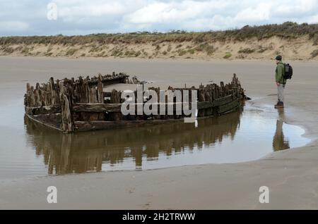 Man looking at old wooden boat shipwreck on Cefn Sidan beach sands pembrey country park Llanelli Wales Cymru UK Stock Photo