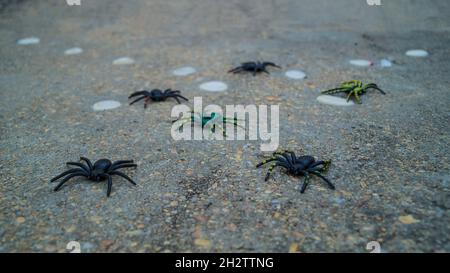 Decorative Halloween spiders for pranks Stock Photo