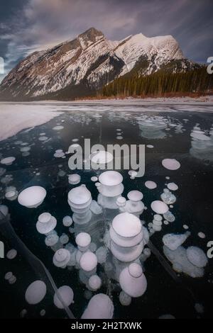Trapped frozen methane bubbles within ice surface, Spray Lake, Canada Stock Photo