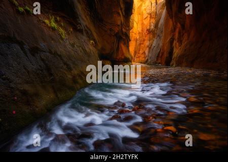 Wall Street glowing from sunlight at The Narrows, Zion National Park, Utah Stock Photo