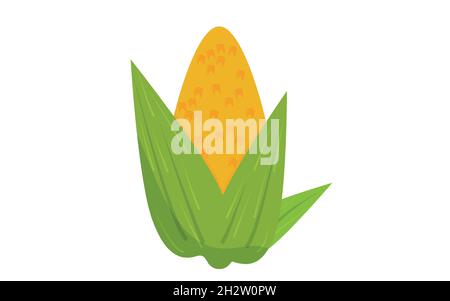 Ear of fresh yellow corn isolated on white background. Organic food. Stock Vector