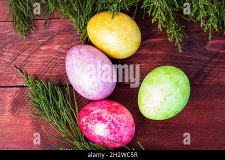 Four multicolored bright easter eggs and thuja branch lying on red wood deck Stock Photo