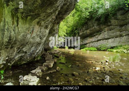 Chee Dale. Stepping stones on the River Wye in Chee Dale limestone gorge, Peak District National Park, Derbyshire, UK Stock Photo