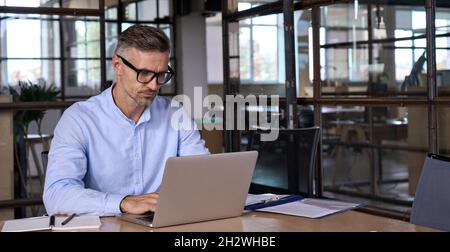 Busy mature business man lawyer ceo using laptop computer working in office. Stock Photo