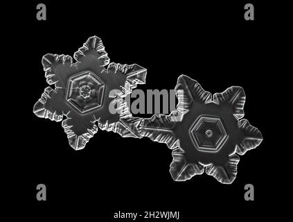 White snowflake isolated on black background. Illustration based on macro photo of real snow crystal: elegant star plate with short, broad arms Stock Photo