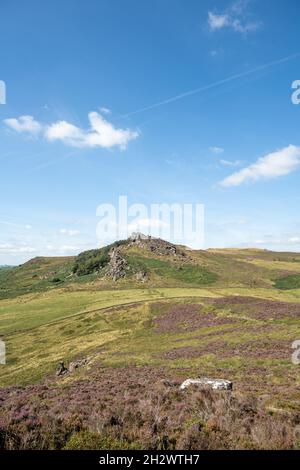 Panoramic view of purple heather at The Roaches, Staffordshire from Hen Cloud in the Peak District National Park, UK. Stock Photo