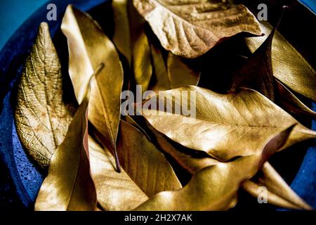Golden Autumn Leafs Stock Photo