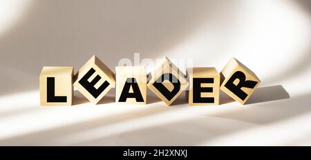 LEADER word made with building blocks isolated on white Stock Photo