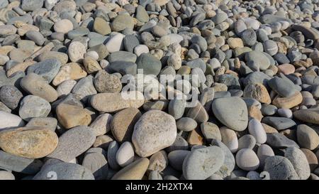 Sea stones background with small pebbles or stone in garden or in the seaside or on a beach. Close up view of rounded smooth polished pebble stones. Stock Photo
