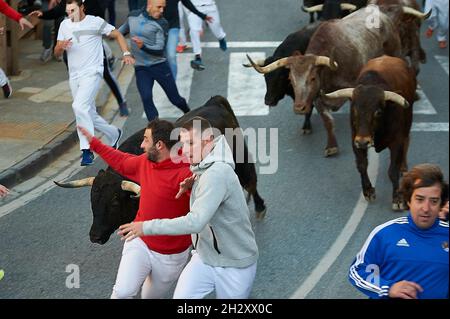 Navarra, Spain. 24th Oct, 2021. Participants race in front of the steers of the Hermanas Azcona cattle ranch.Second running of the bulls of Hermanas Azcona cattle ranch was held in Navarra, Spain after a year and a half without cultural celebrations due to the Covid-19 pandemic. Credit: SOPA Images Limited/Alamy Live News Stock Photo