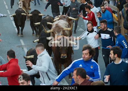 Navarra, Spain. 24th Oct, 2021. Participants race in front of the steers of the Hermanas Azcona cattle ranch.Second running of the bulls of Hermanas Azcona cattle ranch was held in Navarra, Spain after a year and a half without cultural celebrations due to the Covid-19 pandemic. (Photo by Elsa A Bravo/SOPA Images/Sipa USA) Credit: Sipa USA/Alamy Live News Stock Photo