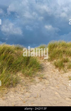 sandy track through the dunes and marram grass on studland beach nature reserve on the isle of purbeck in dorset on a cloudy day with autumn light. Stock Photo