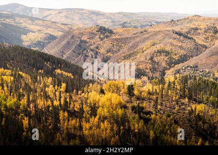 Fall foliage in Vail, Colorado. Stock Photo