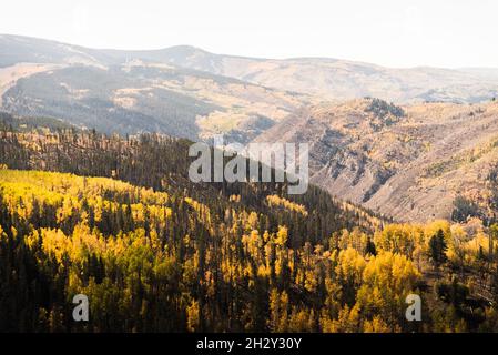 Fall foliage in Vail, Colorado. Stock Photo