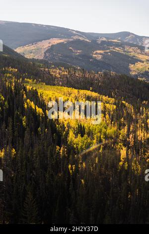 Fall foliage in Vail, Colorado. Stock Photo