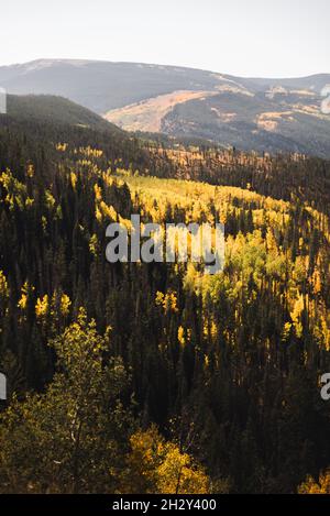 Fall foliage in Vail, Colorado. Stock Photo