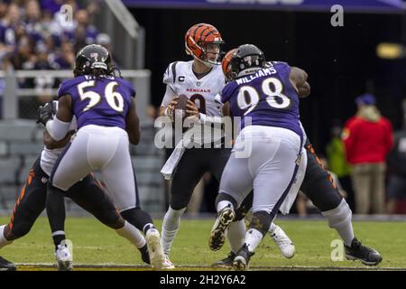 Baltimore Ravens linebacker Odafe Oweh (99) in action during the first half  of a NFL football game against the Cincinnati Bengals, Sunday, Oct. 9,  2022, in Baltimore. (AP Photo/Nick Wass Stock Photo - Alamy