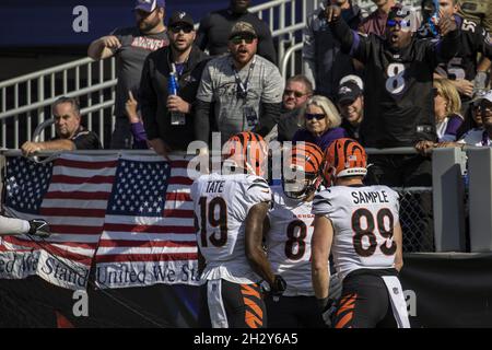 Cincinnati Bengals tight end Drew Sample (89) runs off the field after an  NFL football game against the New York Jets, Sunday, Oct. 31, 2021, in East  Rutherford, N.J. (AP Photo/Adam Hunger