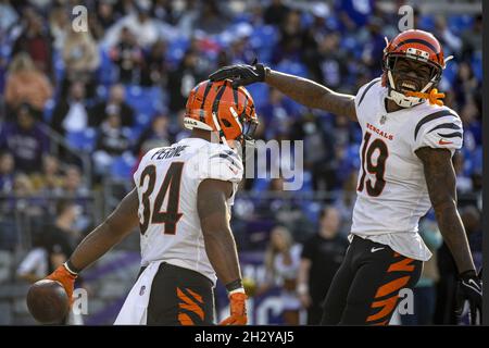 Cincinnati Bengals wide receiver Auden Tate (19) runs during an NFL  preseason football game against the Washington Football Team, Friday, Aug.  20, 2021 in Landover, Md. (AP Photo/Daniel Kucin Jr Stock Photo - Alamy