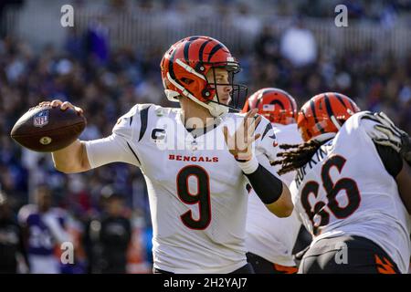 Baltimore, United States. 24th Oct, 2021. Cincinnati Bengals defensive  tackle D.J. Reader (98) heads off the field before play against the  Baltimore Ravens at M&T Bank Stadium in Baltimore, Maryland, on Sunday