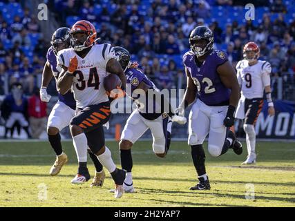 Cincinnati Bengals running back Samaje Perine (34) warms up prior to an NFL  football game against the Jacksonville Jaguars, Thursday, Sept. 30, 2021,  in Cincinnati. (AP Photo/Emilee Chinn Stock Photo - Alamy