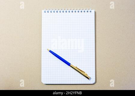 blank sheet of notebook and ballpoint pen on it Stock Photo
