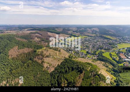 Aerial photo, Arnsberg forest, forest area with forest damage in Rumbeck, Arnsberg, Sauerland, North Rhine-Westphalia, Germany, tree dieback, Breitenb Stock Photo