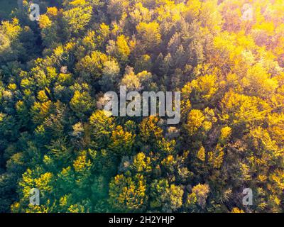 Autumn time colorful forest from above Stock Photo