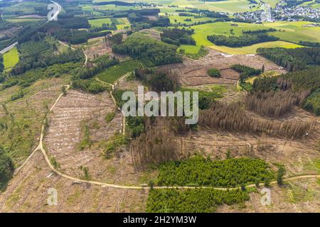 Aerial photograph, forest area with forest damage near Iseringhausen and Brachtpe, Drolshagen, Sauerland, North Rhine-Westphalia, Germany, tree death,