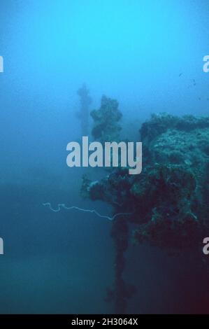 Propellers on Japanese WWII sea plane, taken in 1999, Ghavutu Island, Floridas, Solomon Islands, Oceania Stock Photo