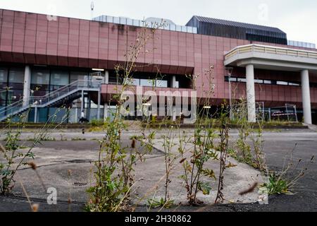 Ludwigshafen, Germany. 20th Sep, 2021. Weeds grow on a drained water surface at the Rathaus-Center. (to dpa-KORR 'Humor instead of malice: Ludwigshafen shows visitors the 'ugly side'') Credit: Uwe Anspach/dpa/Alamy Live News Stock Photo