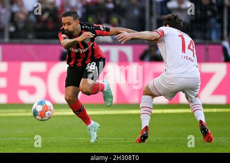 Cologne, Germany. 24th Oct, 2021. Karim Bellarabi (L) of Leverkusen vies with Jonas Hector of Cologne during the German first division Bundesliga football match between FC Cologne and Bayer 04 Leverkusen in Cologne, Germany, Oct. 24, 2021. Credit: Ulrich Hufnagel/Xinhua/Alamy Live News Stock Photo