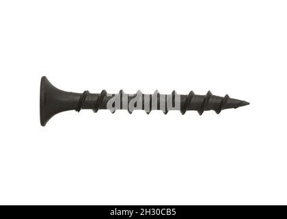 Self-tapping screw for wood made of black metal isolated on a white background. Stock Photo
