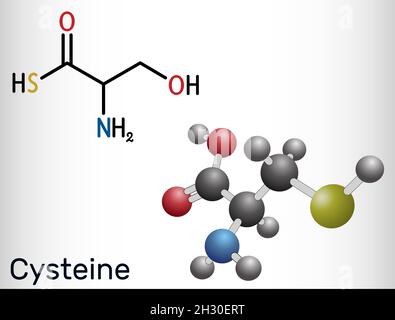 Cysteine (L-cysteine, Cys, C) proteinogenic amino acid molecule ...