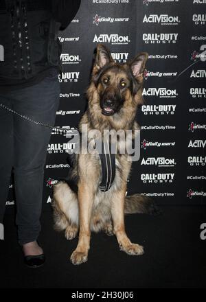 call of duty ghosts dog