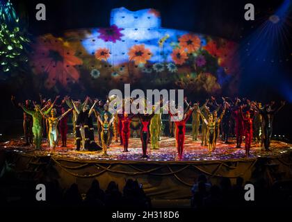 Cirque Du Soleil artists perform on stage during the dress rehearsal of Cirque Du Soleil's 'OVO' at the Royal Albert Hall, London. Picture date: Tuesday 9th January, 2018. Photo credit should read: David Jensen/EMPICS Entertainment Stock Photo