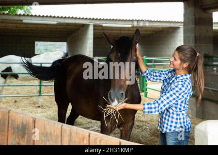 Woman feeding horse Stock Photo