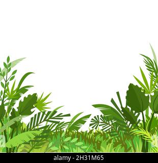 Tropical green herbs and shrubs. Jungle meadow. Palm shoots trees and nice summer weather. Isolated on white background. Funny cartoon style. Green Stock Vector