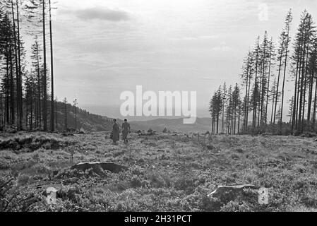 Zwei junge Frauen beim Wandern im Nordschwarzwald, Deutschland 1930er Jahre. Two young women hiking in the Northern Black Forest, Germany 1930s. Stock Photo