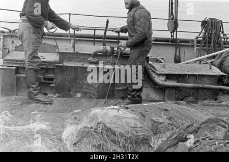 Die Männer eines Fabrikschiffs der deutschen Walfangflotte arbeiten sich durch die Fettschichten eines Wals, 1930er Jahre. The crew of a factory vessel of the German whalung fletis working on the several fat layers of a hunted down whale, 1930s. Stock Photo