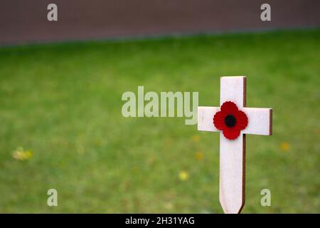 Red puppy flower placed on the small wooden cross in the green grass. Poppy remembrance day cross in a field Stock Photo