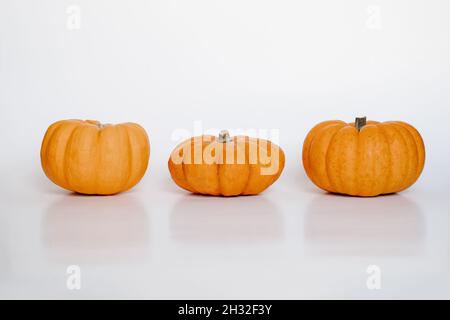 three small orange pumpkins on white isolated background side view. Halloween and Thanksgiving autumn concept Stock Photo