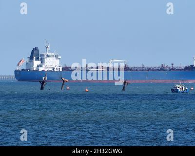 UK. 2021. An oil/chemical tanker ship alongside and berthed at a