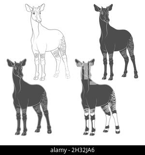 Set of black and white images with okapi. Isolated vector objects on white background. Stock Vector