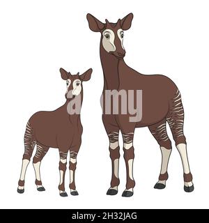 Colored illustration with okapi image. Isolated vector objects on white background. Stock Vector
